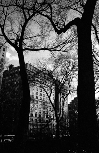 NY 1964 