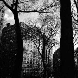 NY 1964 