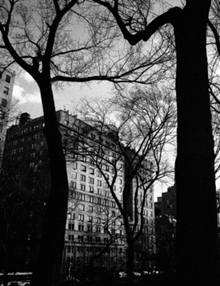 NY 1964 