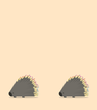 Porcupencil