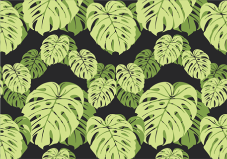 Monstera Minimal (Black)