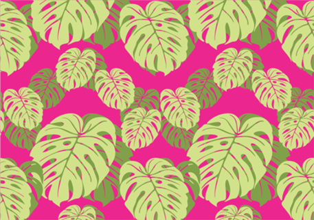 Monstera Minimal (Pink)