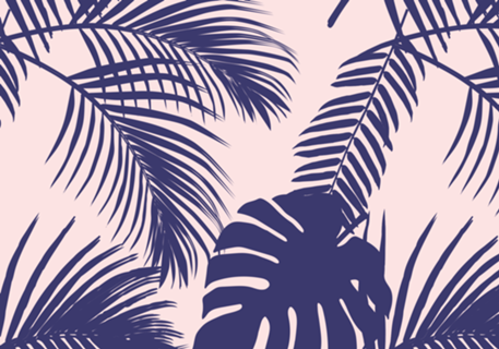 Tropical Rosé