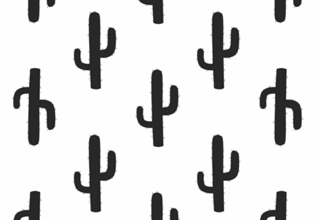 Cactos White