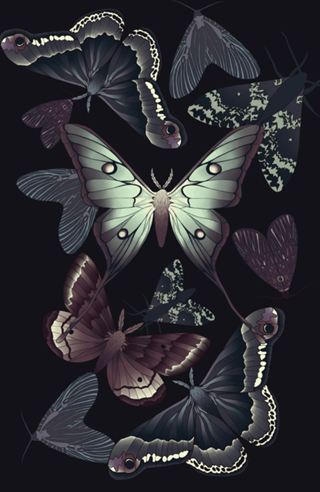 Mariposas