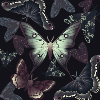 Mariposas