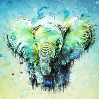 Aguarela elefante