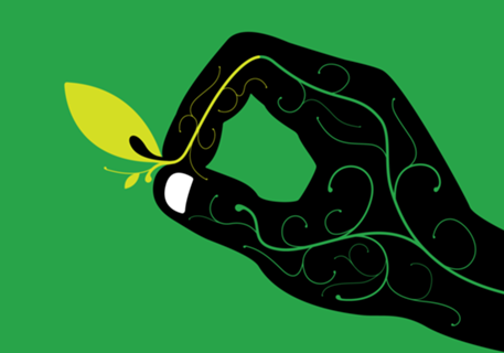 Toque verde
