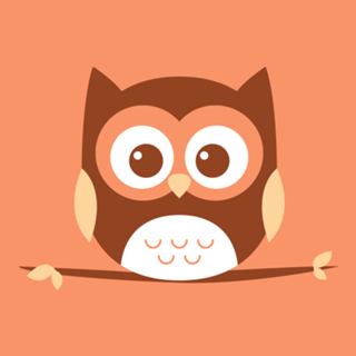 Baby owl