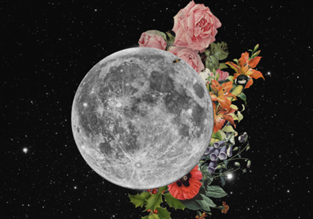.Stuck behind the Moon.