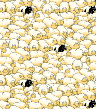 Find The Spy Pattern
