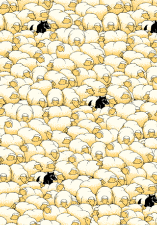 Find The Spy Pattern