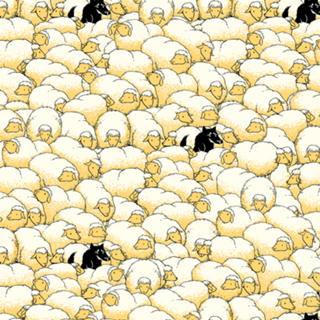 Find The Spy Pattern