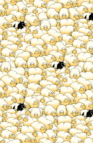Find The Spy Pattern