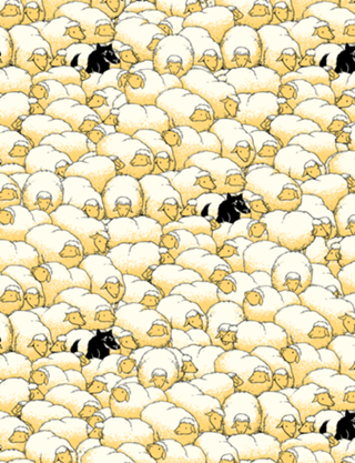 Find The Spy Pattern