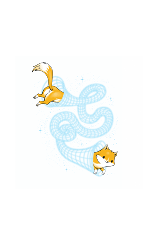 Wormhole Cat