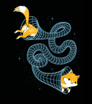 Wormhole Cat