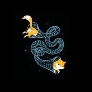 Wormhole Cat