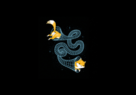 Wormhole Cat