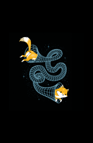 Wormhole Cat