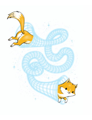 Wormhole Cat