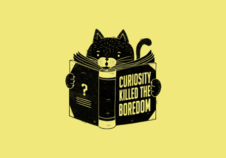 Curiosity Killed The Boredom