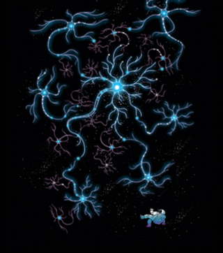 Neuron Galaxy