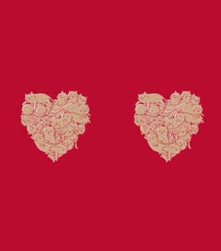 I Love Cats Heart