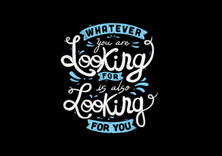 Whatever you are looking...