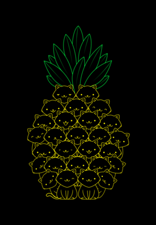Pineaple Cat