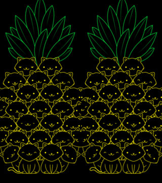 Pineaple Cat