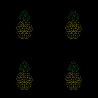 Pineaple Cat