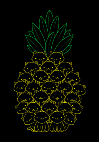 Pineaple Cat