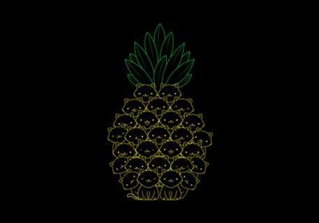 Pineaple Cat
