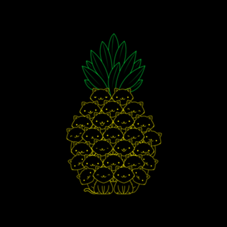 Pineaple Cat