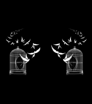 Freedom