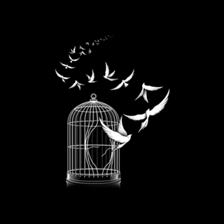 Freedom