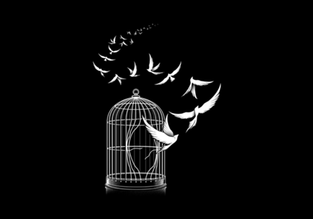 Freedom