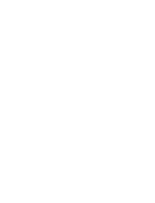 Cat Zeppelin