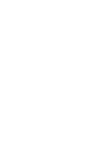 Cat Zeppelin