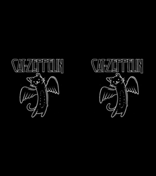 Cat Zeppelin