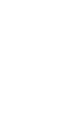 There is a cat in my heart