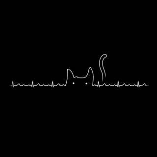 There is a cat in my heart