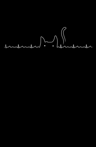 There is a cat in my heart