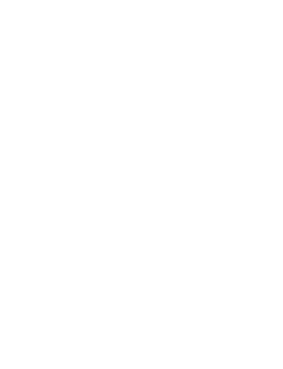 There is a cat in my heart