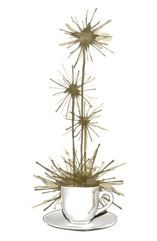 Midnight Flower