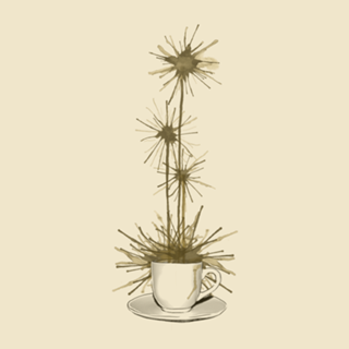 Midnight Flower