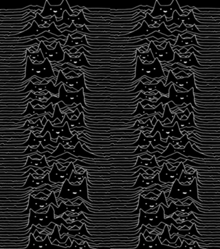 Furr Division