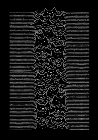 Furr Division