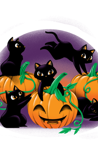 Hello Cat Halloween
